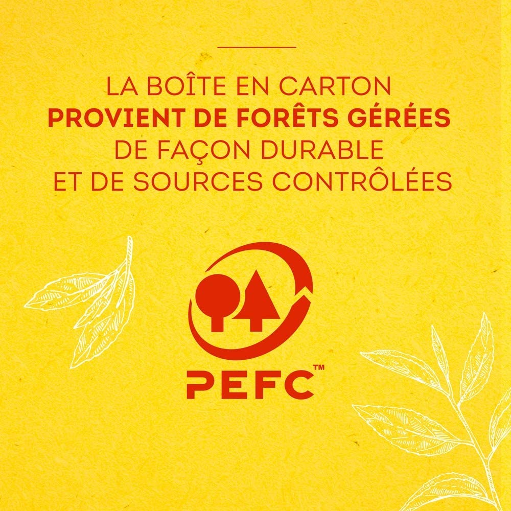 Lipton Thé Vert Marrakech Mint (Lot de 4x10 Capsules) – Image 2