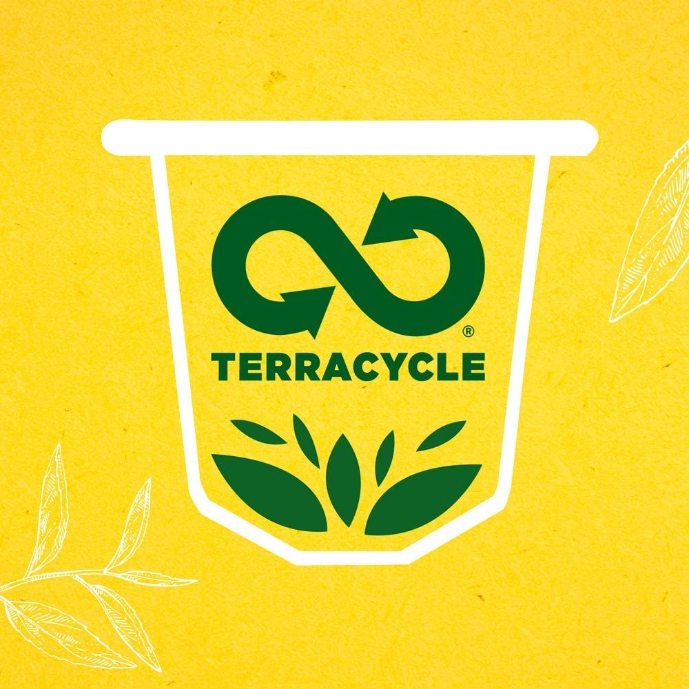 Lipton Thé Vert Marrakech Mint (Lot de 4x10 Capsules) – Image 3