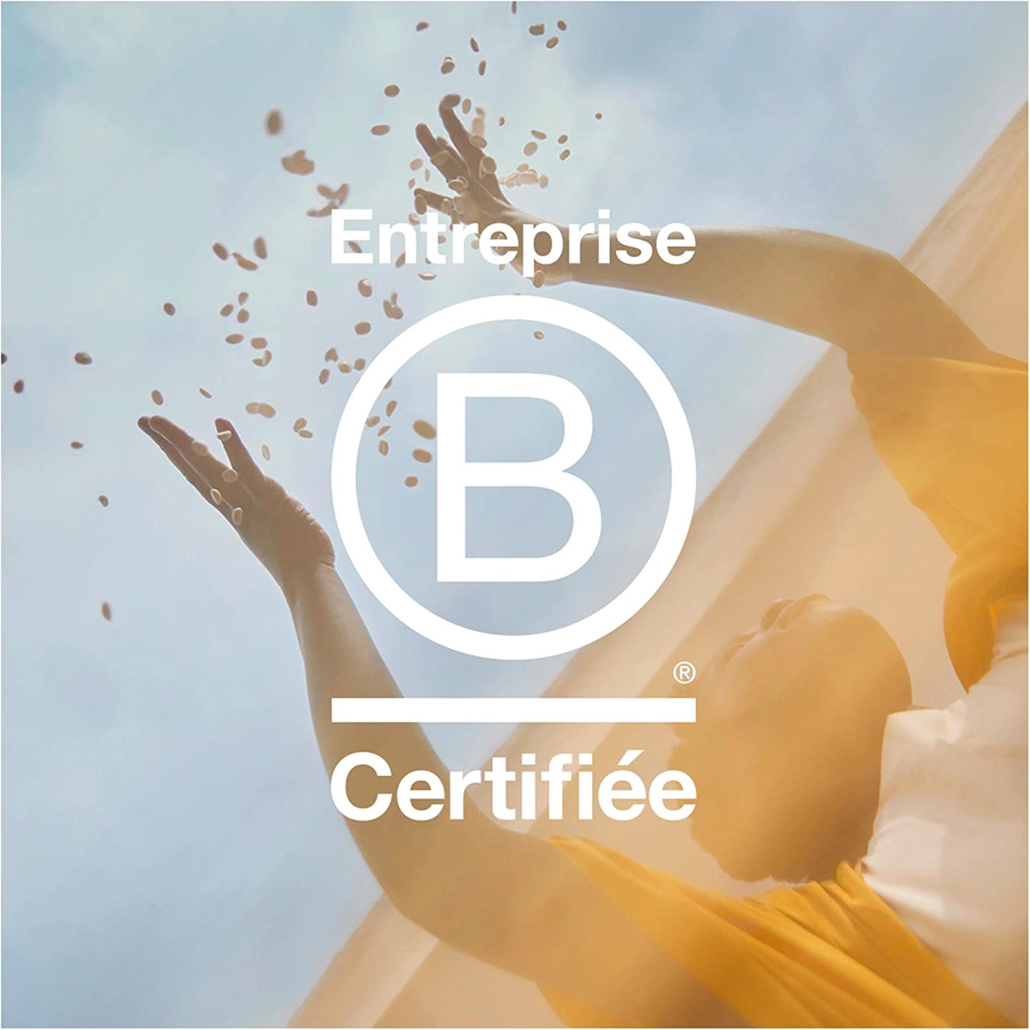 Nespresso Pro Finezzo Intenso 100 capsules – Image 4