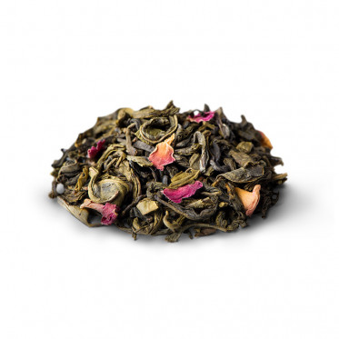 VALLÉE DU NIL – Image 4